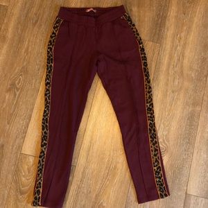 Scotch & Soda jogger